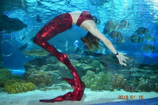 Beijing Gongti Richina Underwater World